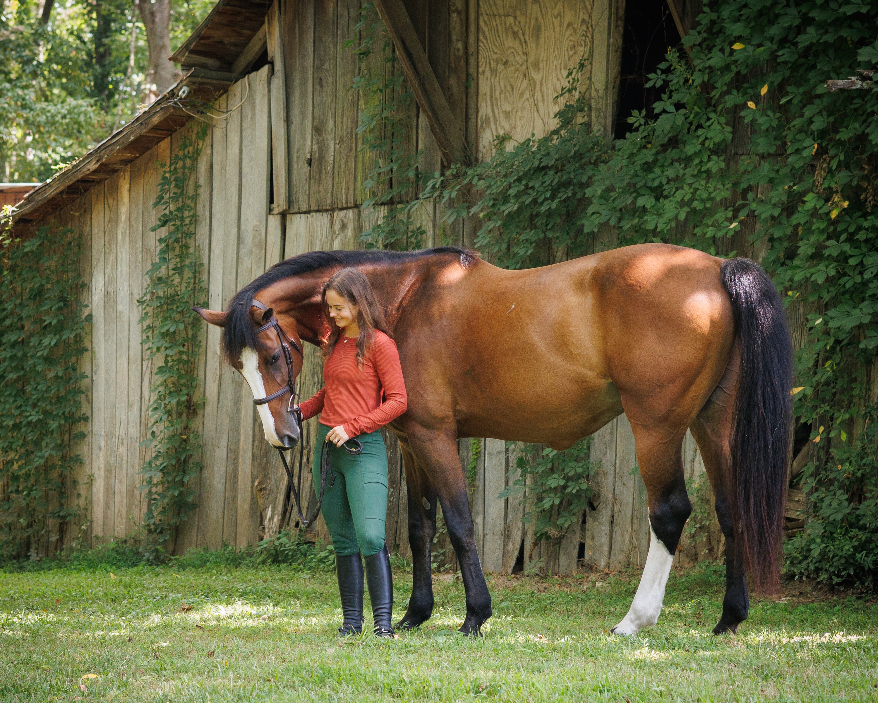 Zyphera 1/4 Zip Equestrian Top